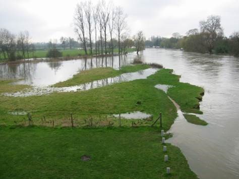 Wetland ecosystem 2